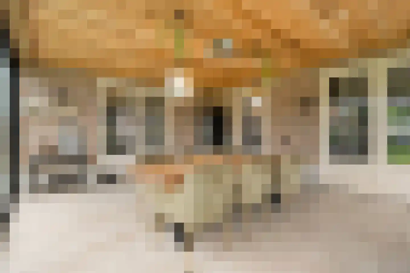 Van 't Hofflaan 10 Almelo thumbnail 38