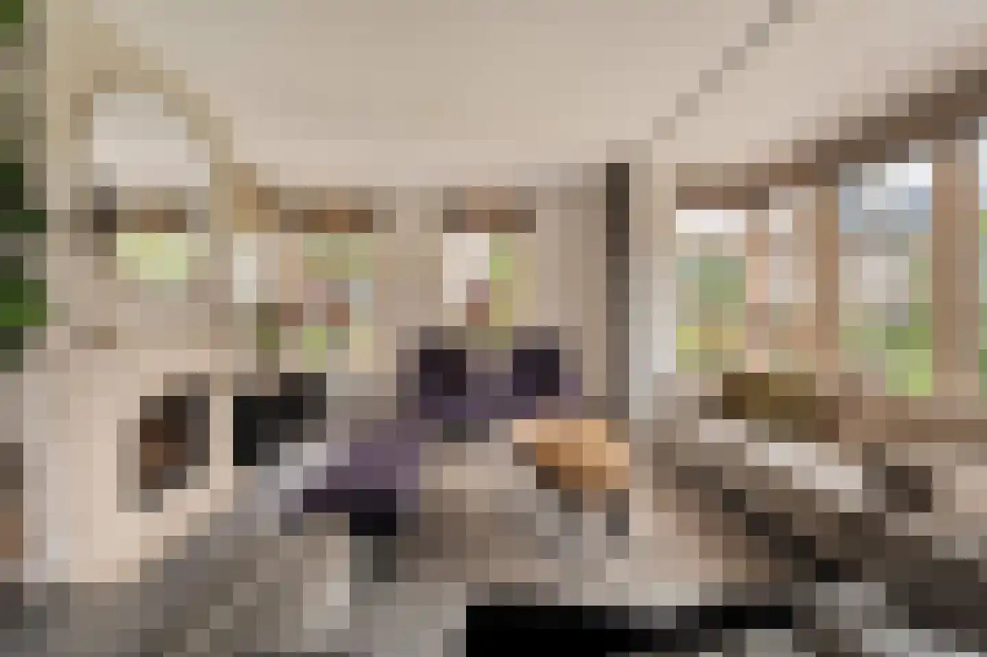 Van 't Hofflaan 10 Almelo thumbnail 5