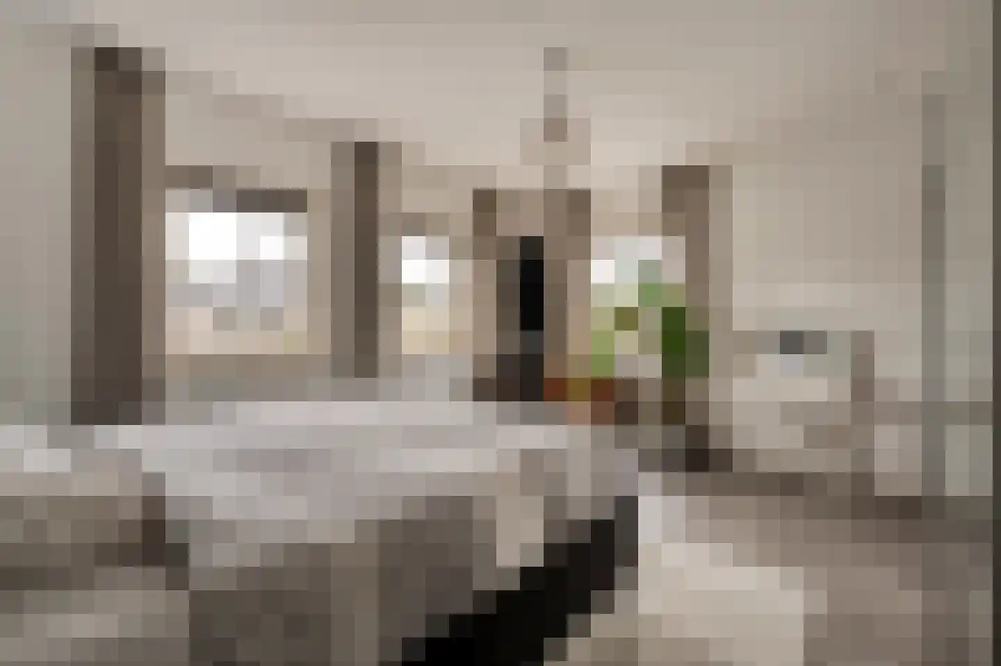 Van 't Hofflaan 10 Almelo thumbnail 50