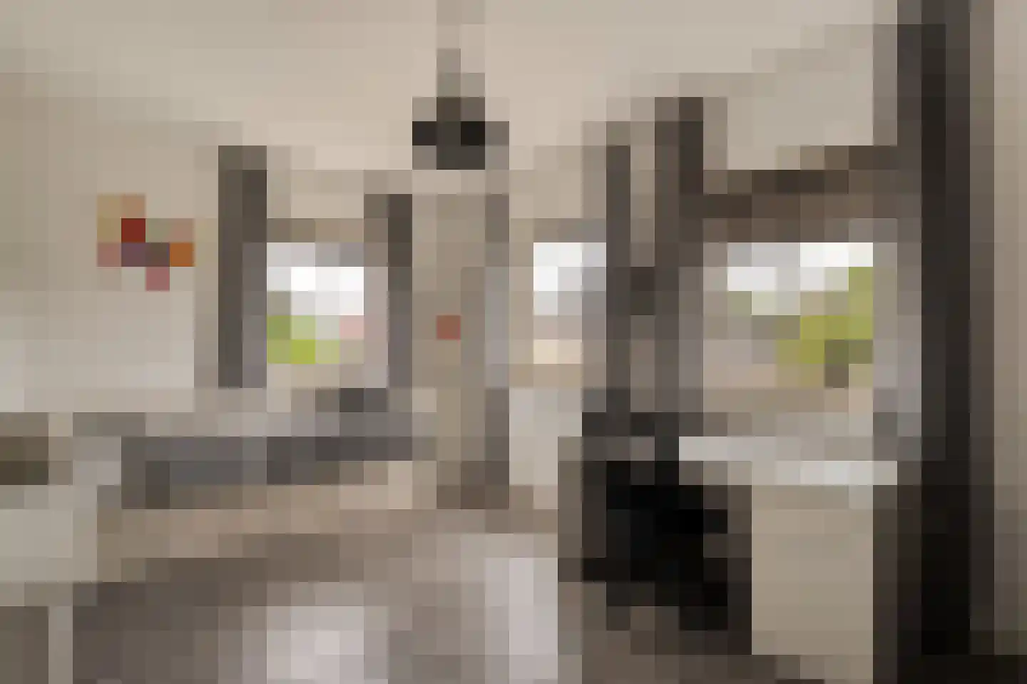 Van 't Hofflaan 10 Almelo thumbnail 52