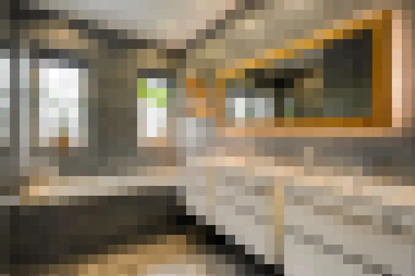 Van 't Hofflaan 10 Almelo thumbnail 54