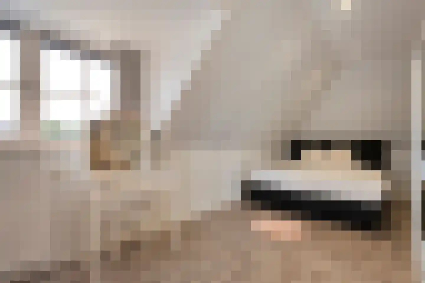 Van 't Hofflaan 10 Almelo thumbnail 58