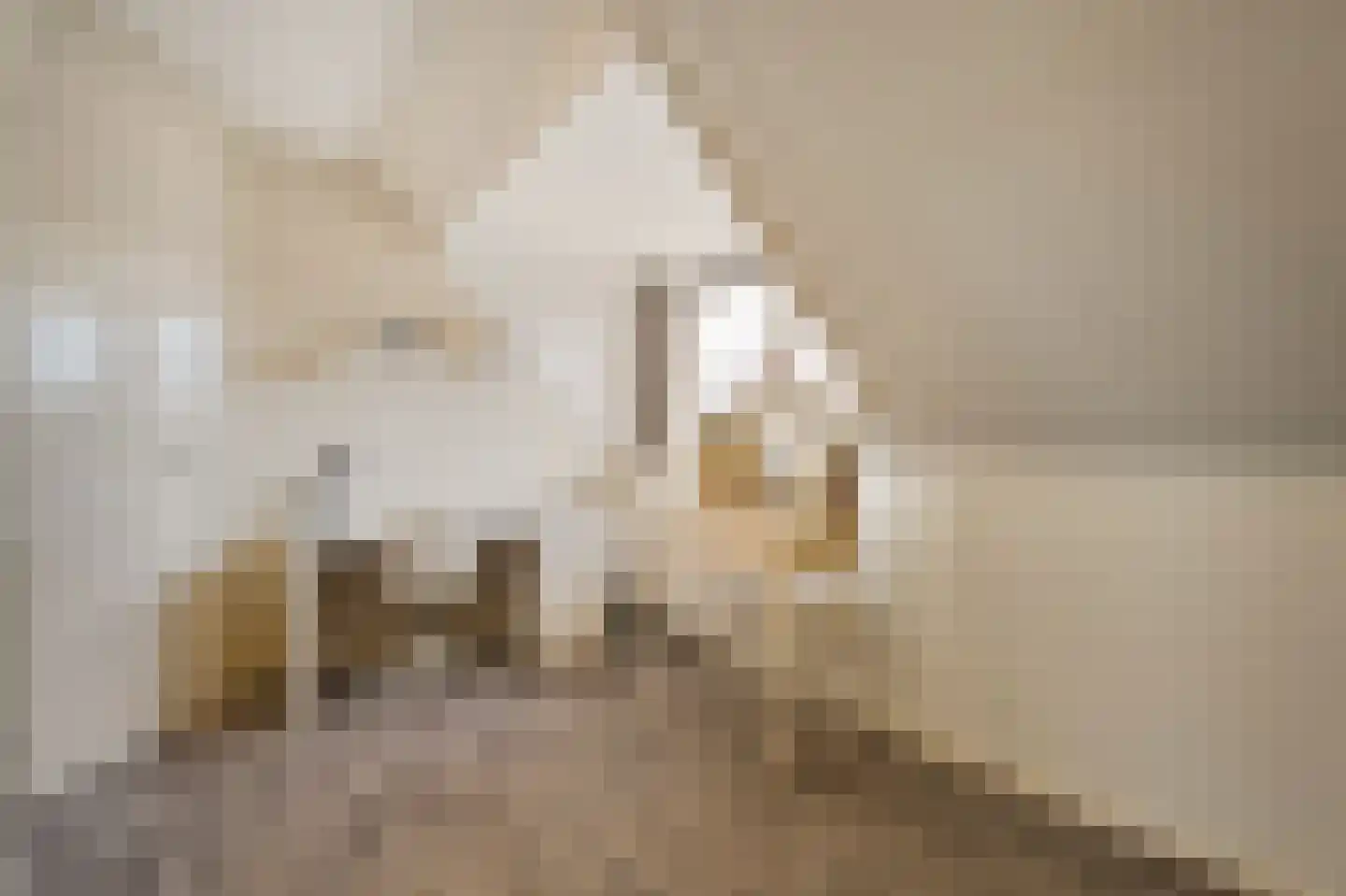 Van 't Hofflaan 10 Almelo thumbnail 59