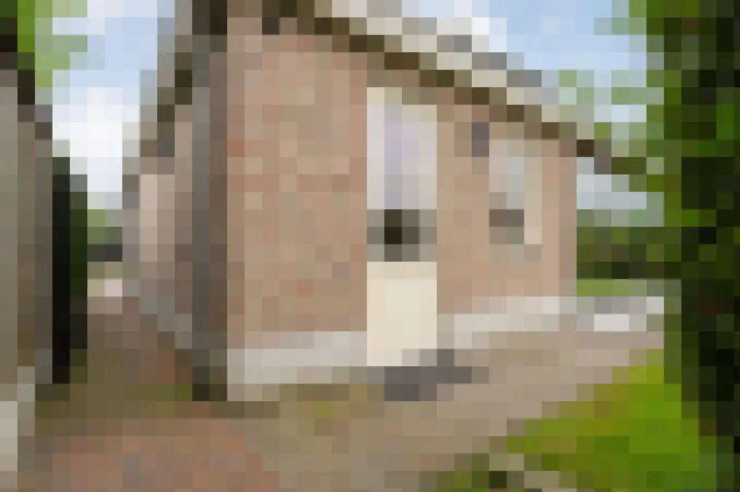 Van 't Hofflaan 10 Almelo thumbnail 66