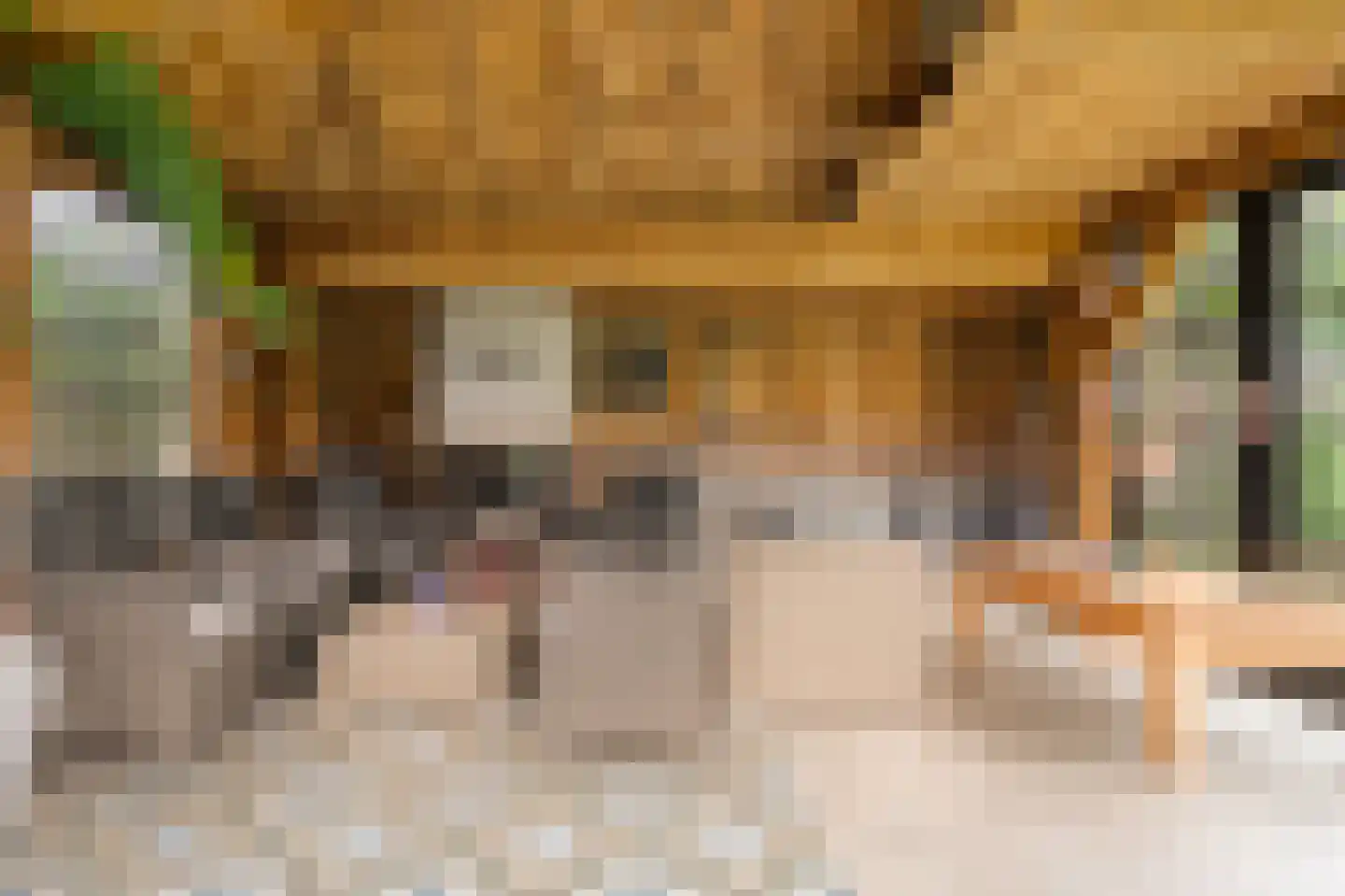 Van 't Hofflaan 10 Almelo thumbnail 74