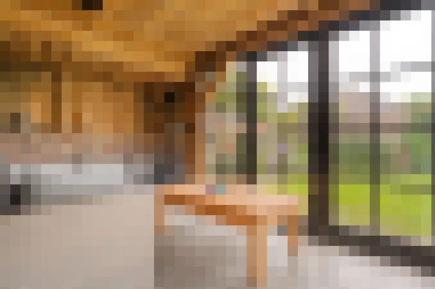 Van 't Hofflaan 10 Almelo thumbnail 75