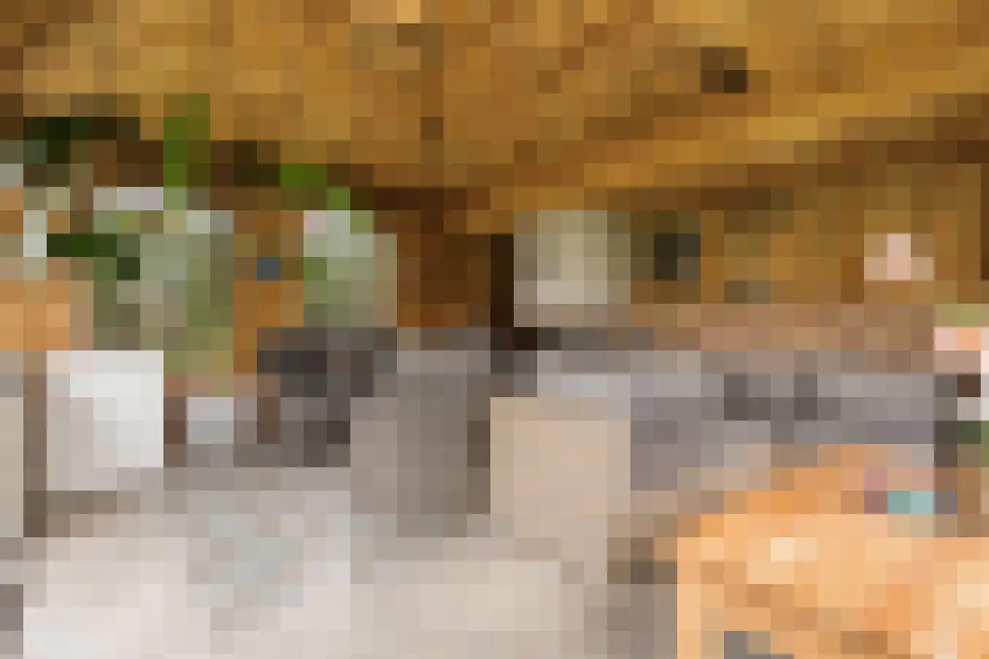 Van 't Hofflaan 10 Almelo thumbnail 76