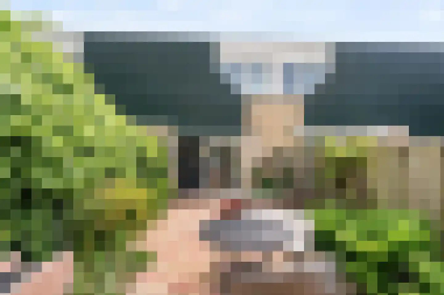 Van 't Hofflaan 15 Heemstede thumbnail 13