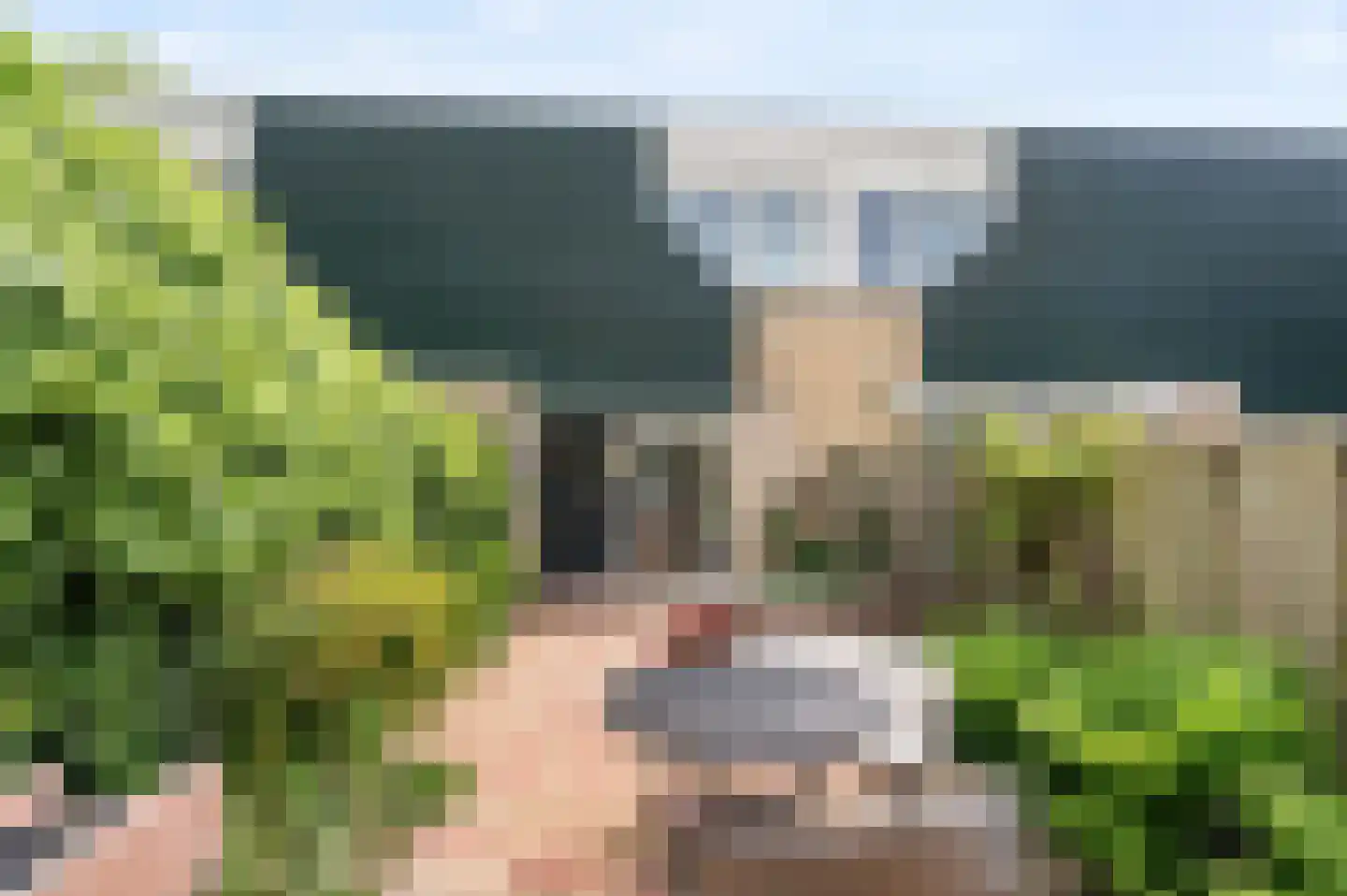 Van 't Hofflaan 15 Heemstede thumbnail 13