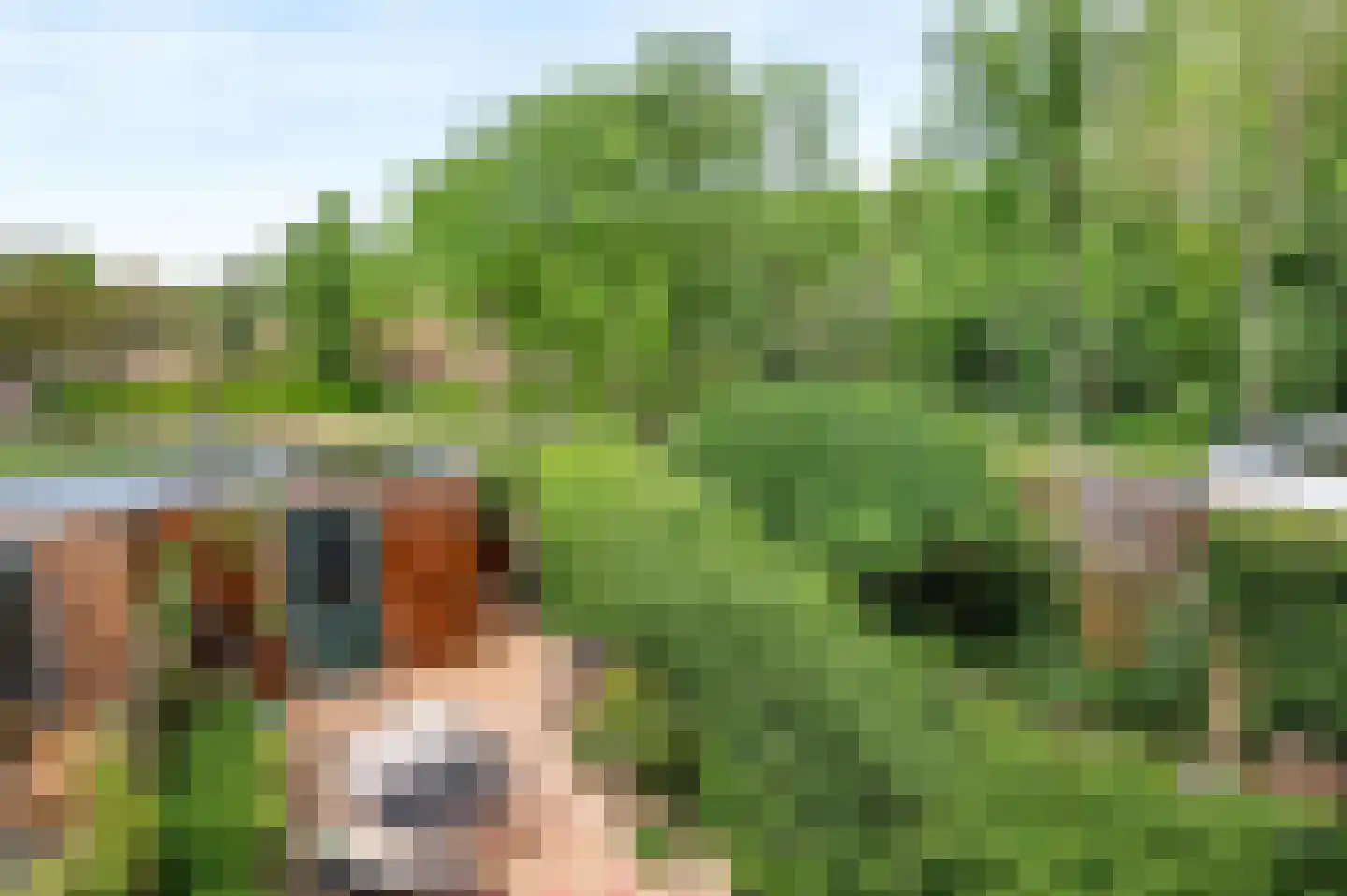 Van 't Hofflaan 15 Heemstede thumbnail 23