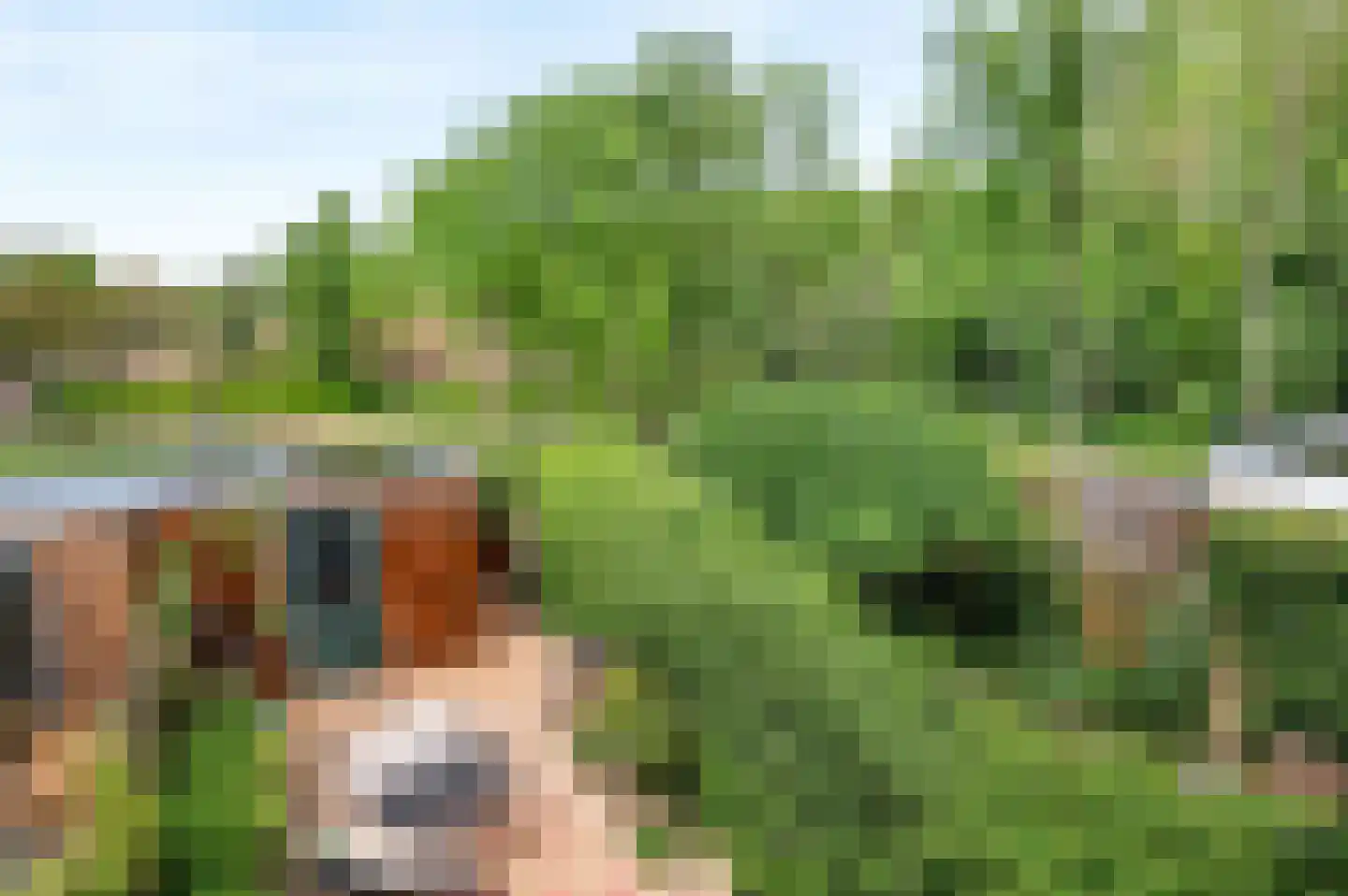 Van 't Hofflaan 15 Heemstede thumbnail 23