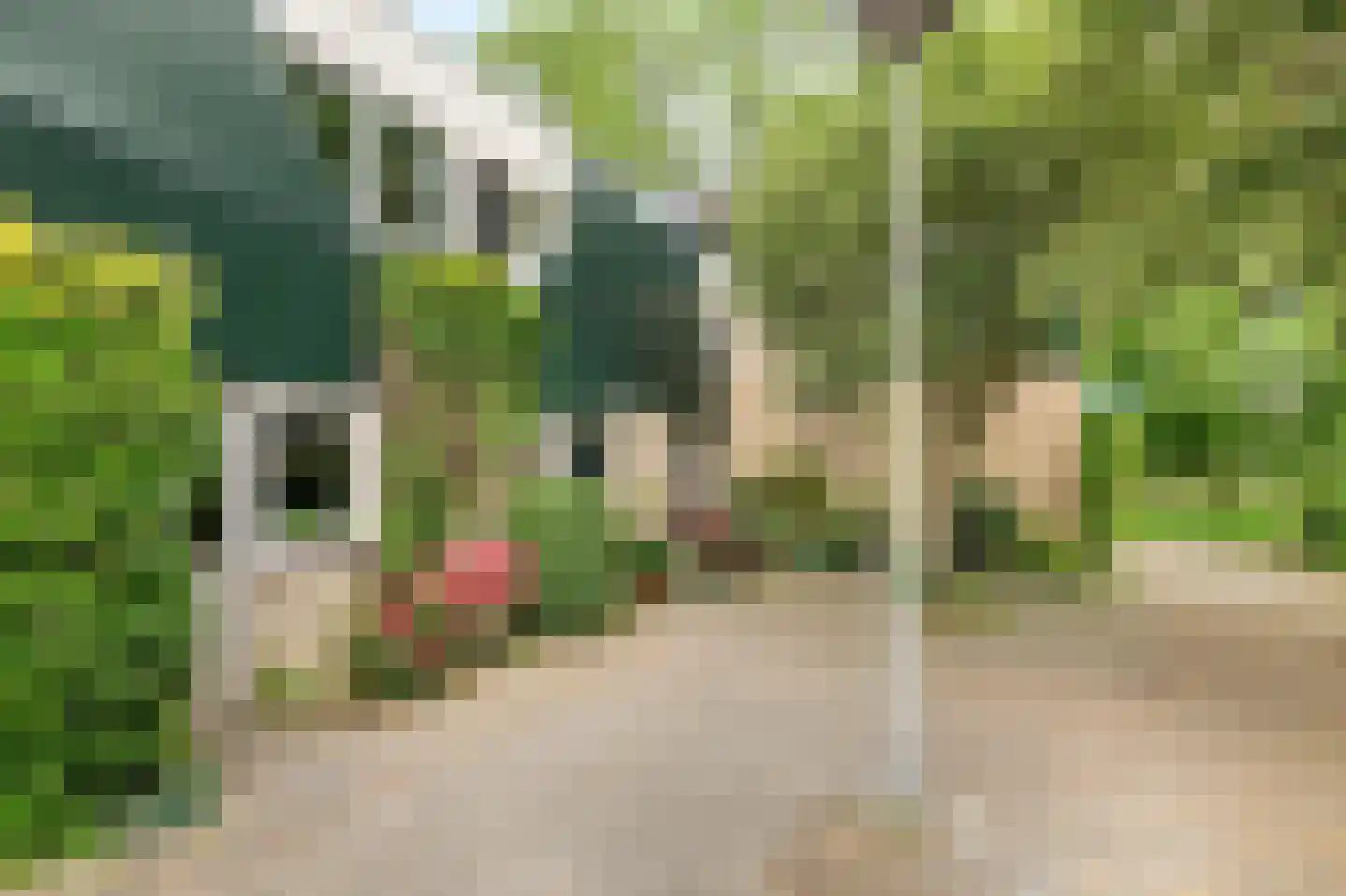 Van 't Hofflaan 15 Heemstede thumbnail 24