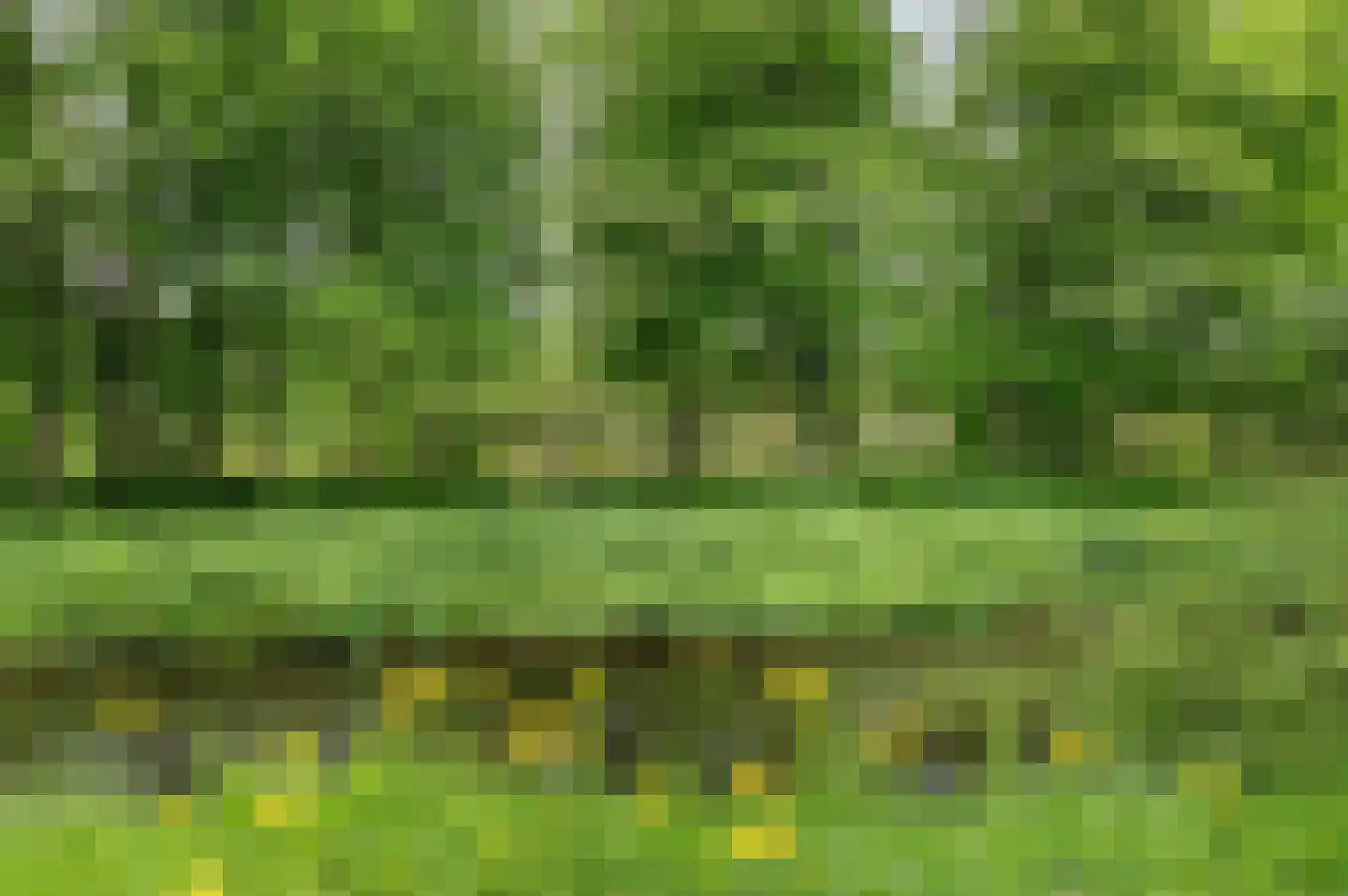 Van 't Hofflaan 15 Heemstede thumbnail 29