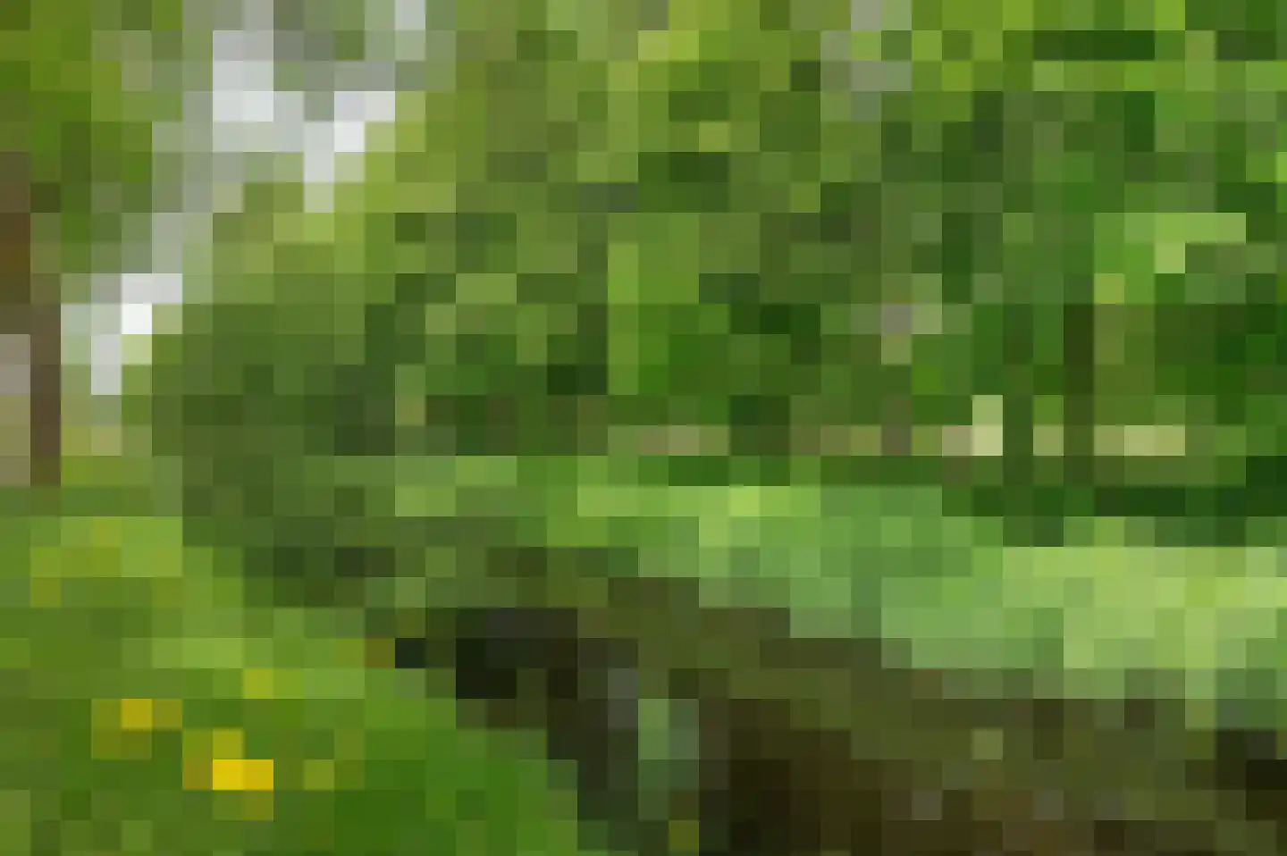 Van 't Hofflaan 15 Heemstede thumbnail 30