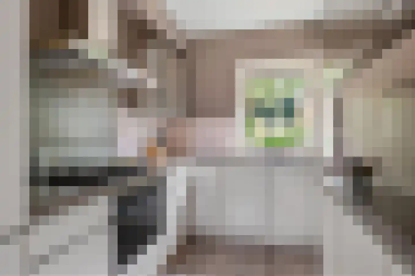 Van 't Hofflaan 15 Heemstede thumbnail 4