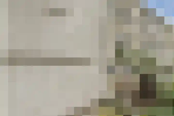 Van 't Hofflaan 17 1 Amsterdam thumbnail 21