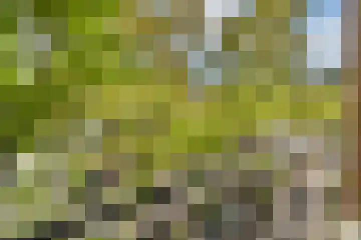 Van 't Hofflaan 17 1 Amsterdam thumbnail 25