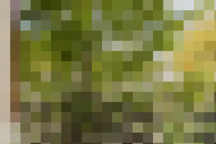 Van 't Hofflaan 17 1 Amsterdam thumbnail 27
