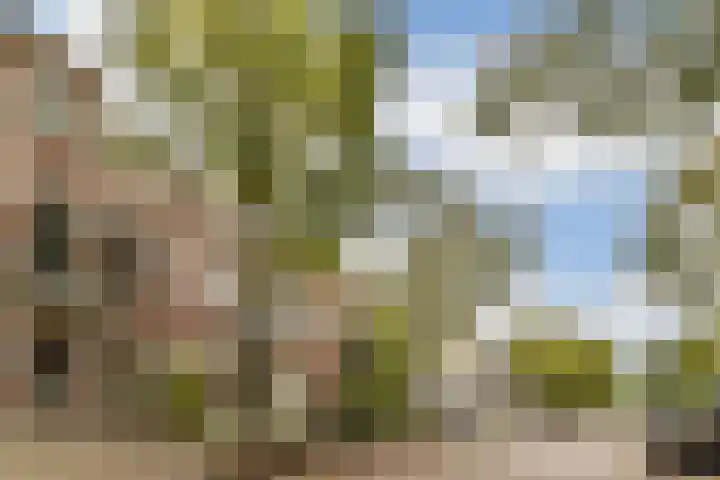 Van 't Hofflaan 17 1 Amsterdam thumbnail 29