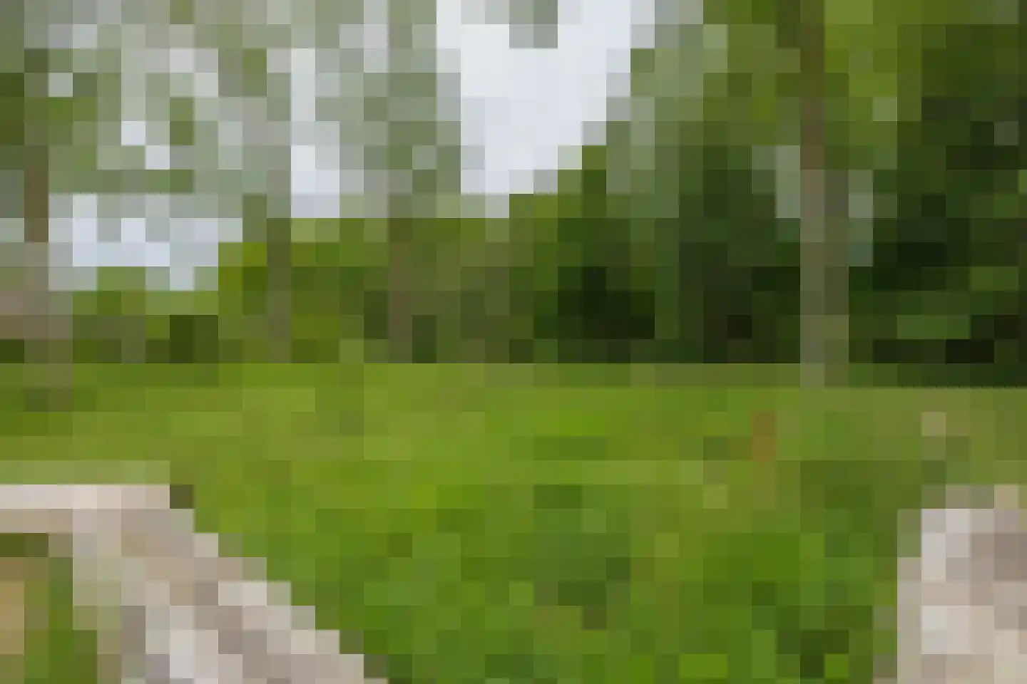 Van 't Hofflaan 19 Heemstede thumbnail 41