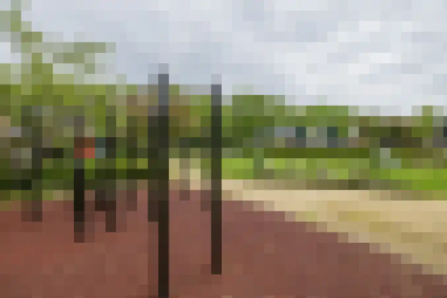 Van 't Hofflaan 19 Heemstede thumbnail 44