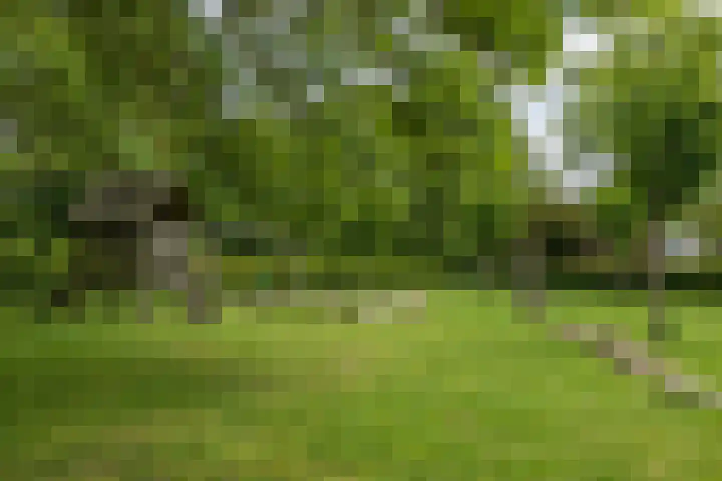 Van 't Hofflaan 19 Heemstede thumbnail 45
