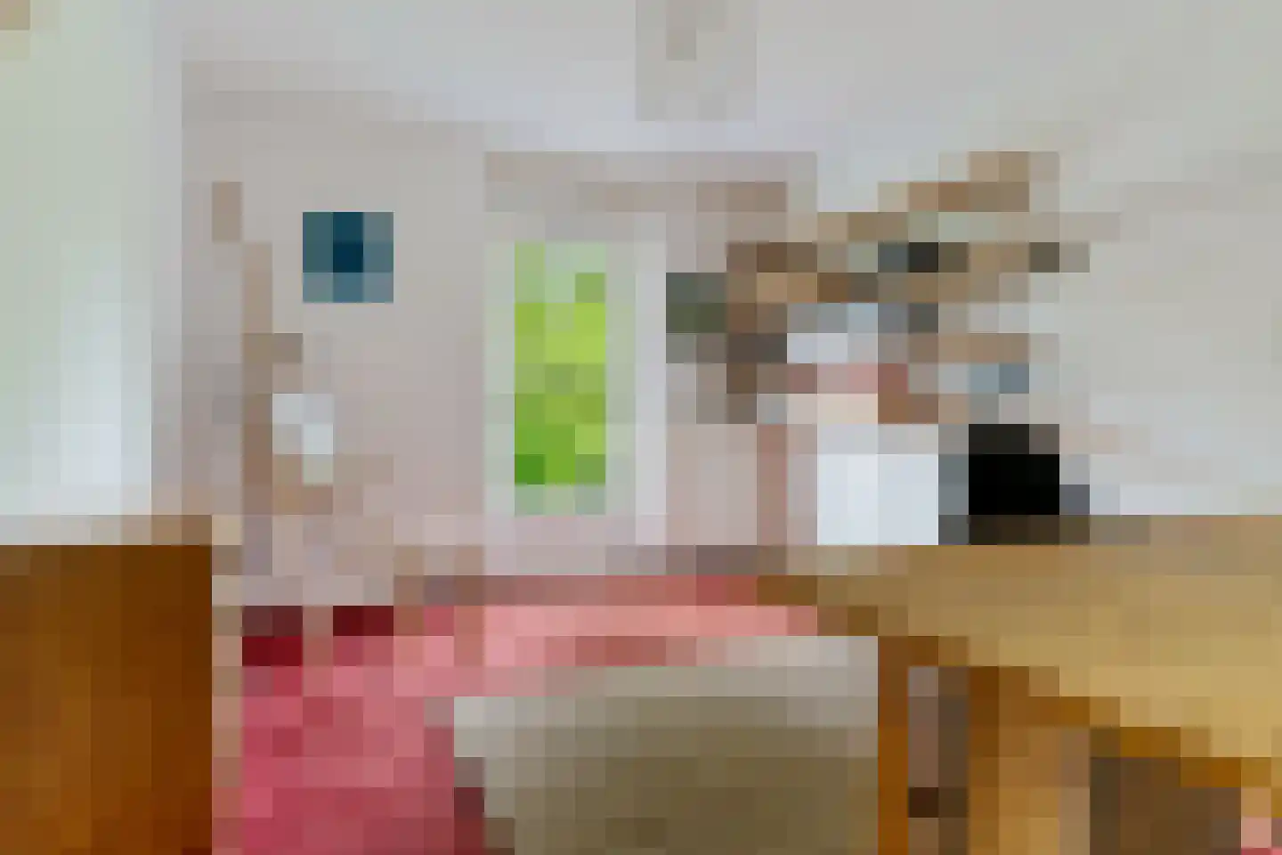 Van 't Hofflaan 22 Enschede thumbnail 26