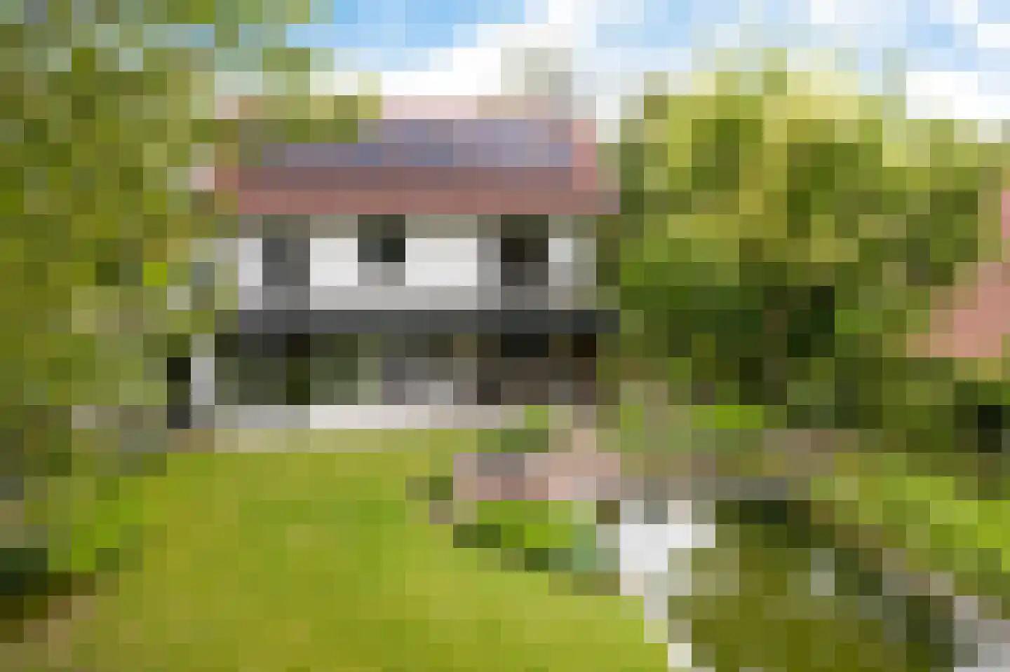 Van 't Hofflaan 22 Enschede thumbnail 35