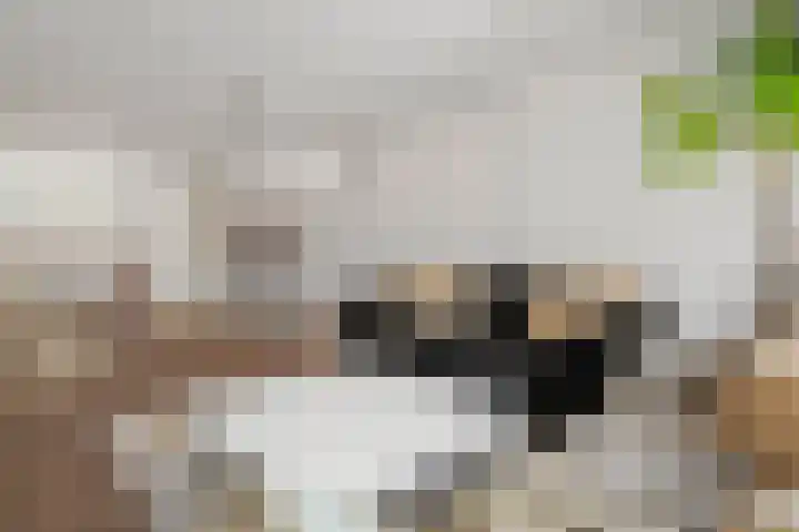 Van 't Hofflaan 3 Heemstede thumbnail 12