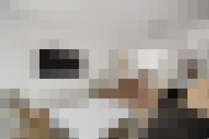 Van 't Hofflaan 3 Heemstede thumbnail 13