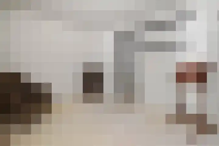Van 't Hofflaan 3 Heemstede thumbnail 19