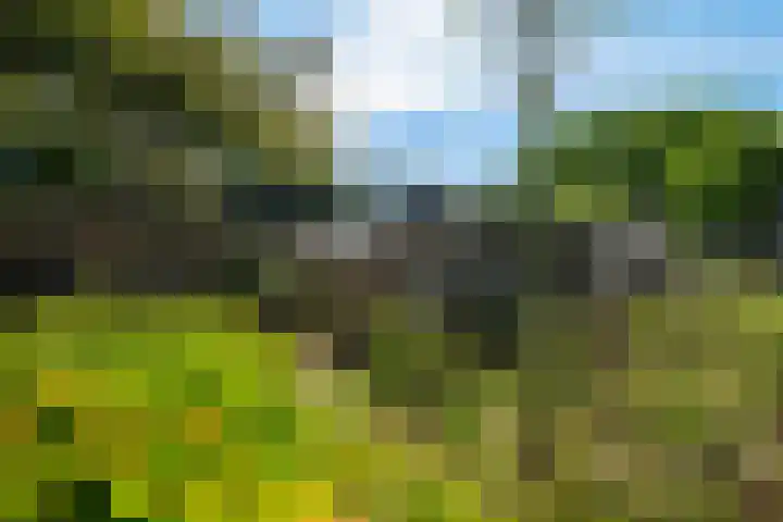Van 't Hofflaan 3 Heemstede thumbnail 27