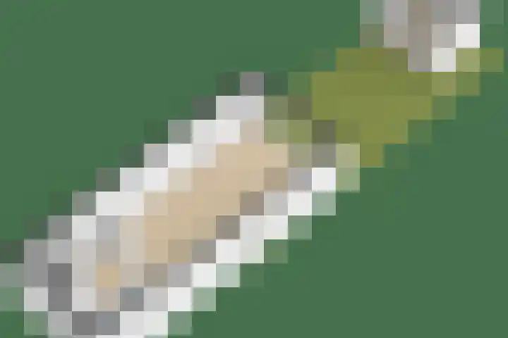 Van 't Hofflaan 3 Heemstede thumbnail 32