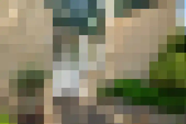 Van 't Hofflaan 3 Heemstede thumbnail 6