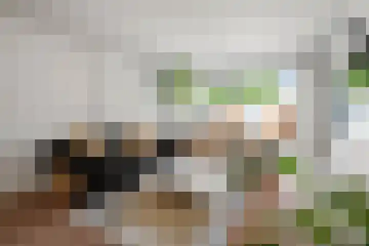 Van 't Hofflaan 3 Heemstede thumbnail 9