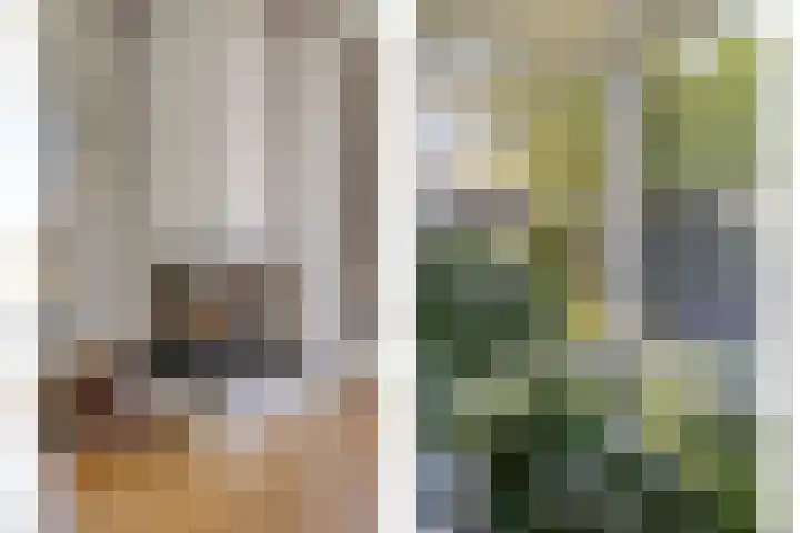 Van 't Hofflaan 9 Zwolle thumbnail 12