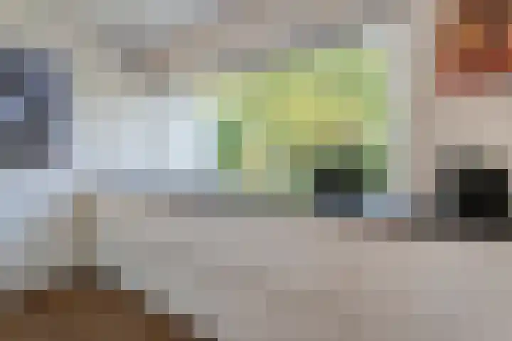 Van 't Hofflaan 9 Zwolle thumbnail 20