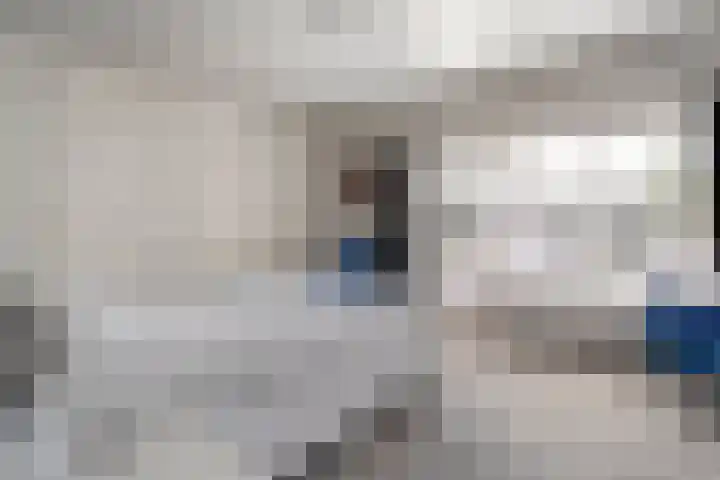 Van 't Hofflaan 9 Zwolle thumbnail 24