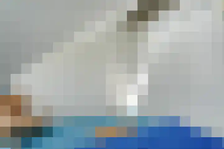 Van 't Hofflaan 9 Zwolle thumbnail 34