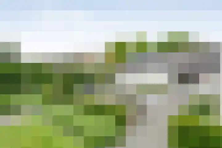 Van 't Hofflaan 9 Zwolle thumbnail 47