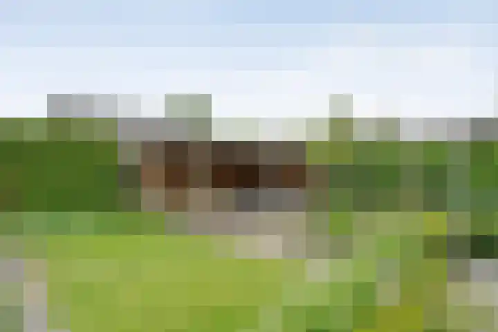Van 't Hofflaan 9 Zwolle thumbnail 49
