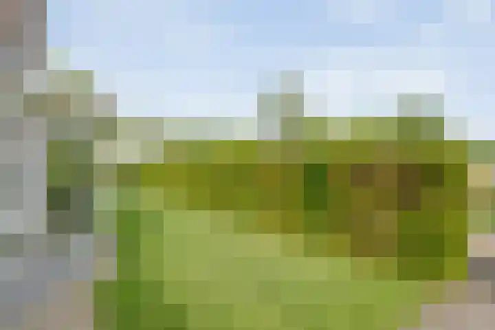 Van 't Hofflaan 9 Zwolle thumbnail 5