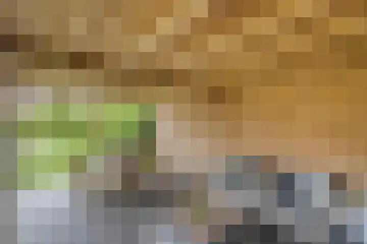 Van 't Hofflaan 9 Zwolle thumbnail 50
