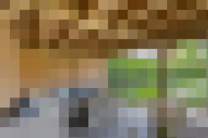 Van 't Hofflaan 9 Zwolle thumbnail 51