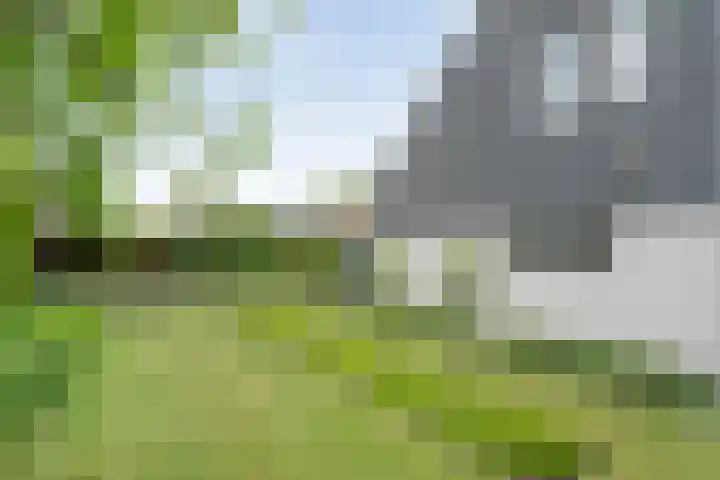 Van 't Hofflaan 9 Zwolle thumbnail 53