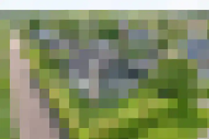 Van 't Hofflaan 9 Zwolle thumbnail 66
