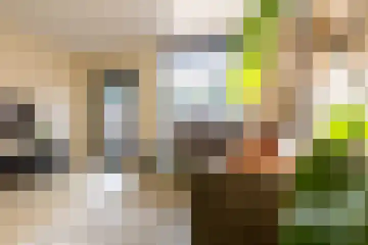 Van 't Hoffplaats 8 Schoonhoven thumbnail 11