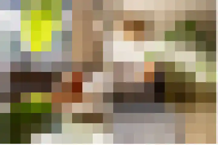 Van 't Hoffplaats 8 Schoonhoven thumbnail 12