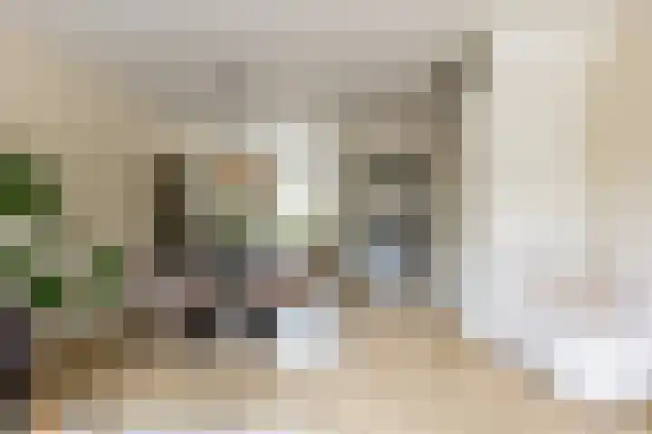 Van 't Hoffplaats 8 Schoonhoven thumbnail 13