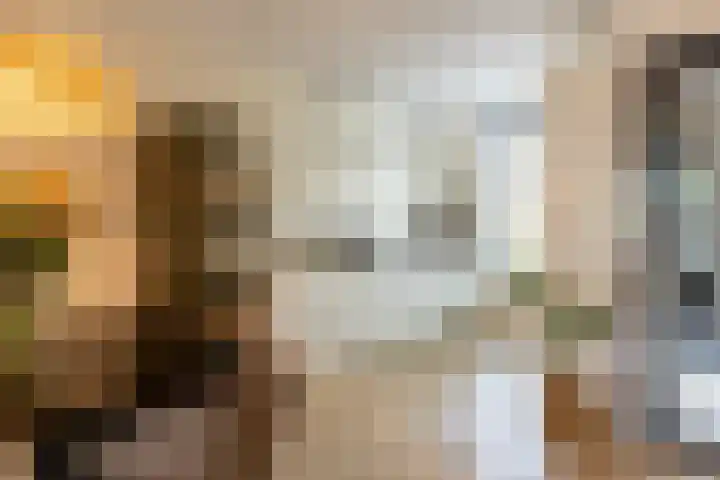 Van 't Hoffplaats 8 Schoonhoven thumbnail 15